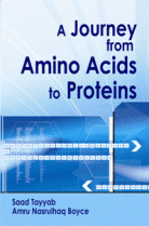 A Journey from Amino Acids to Proteins